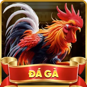 Cá cược Thể Thao tại dagac3 link mới